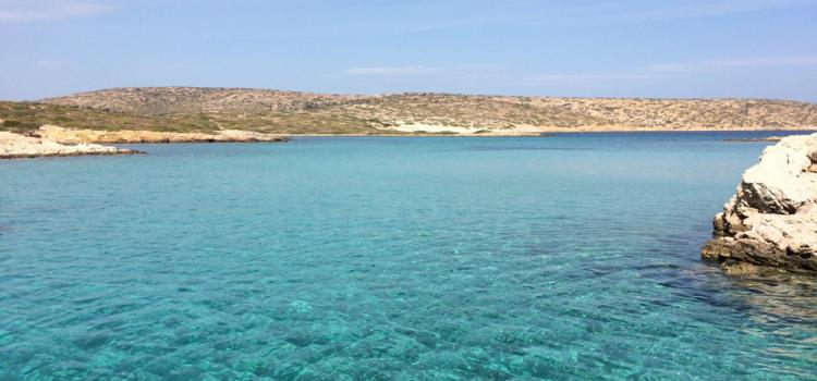 Tiganakia 03
